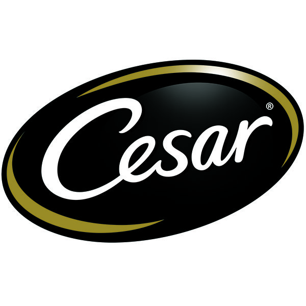 CESAR