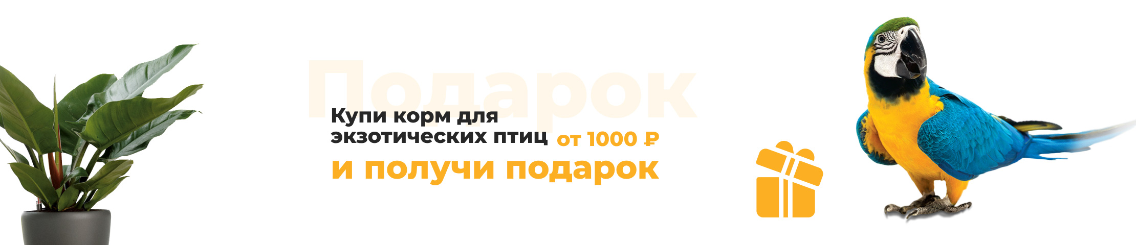 Купи корм для экзотических птиц от 1000 рублей и получи подарок