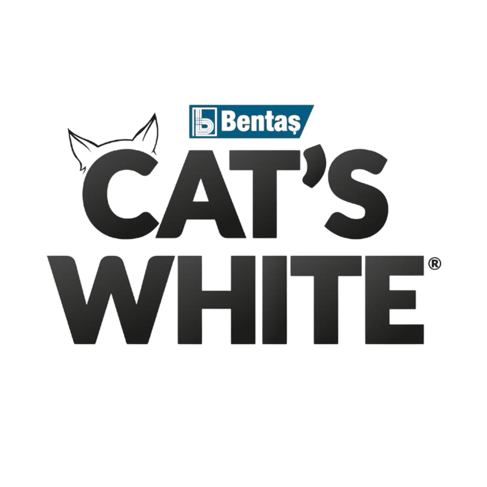  CAT'S WHITE