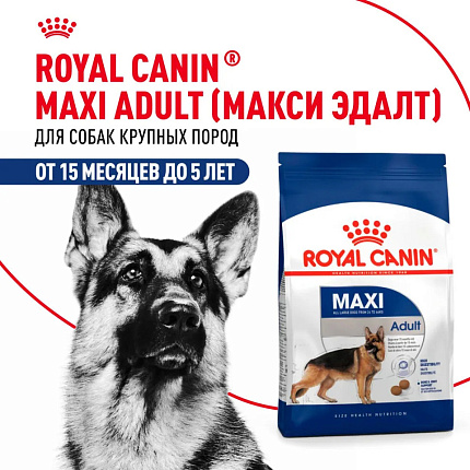 Royal Canin Maxi Adult сухой корм для взрослых собак крупных пород - 3 кг