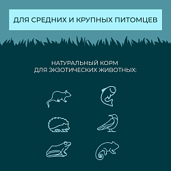 Yumster личинка черной львинки сушеная 20 мм - 70 г