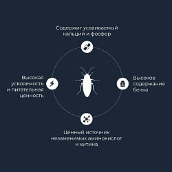 Yumster туркменский таракан консервированный - 40 г
