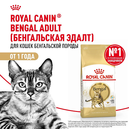 Royal Canin Bengal сухой корм для взрослых бенгальских кошек - 400 г