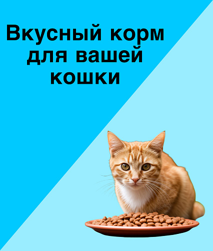 Корм для кошки 
