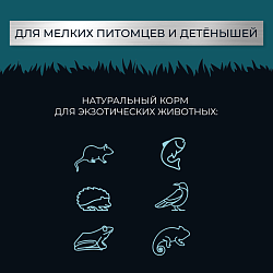 Yumster личинка черной львинки сушеная 10 мм - 30 г
