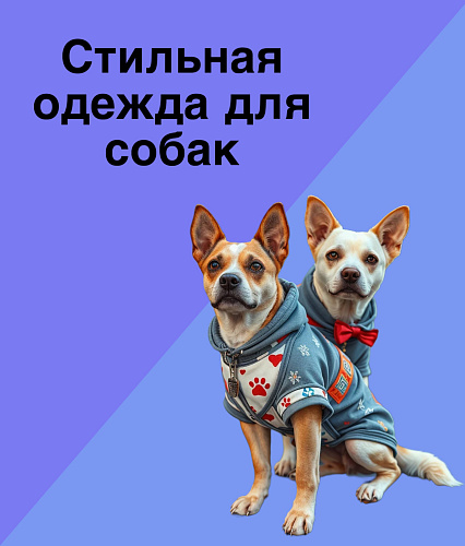 Стильная одежда
